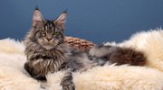 Hanky - 8 months 1