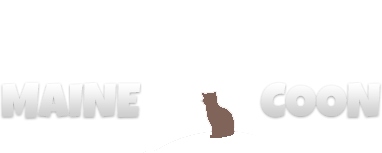 Little Island Coonies